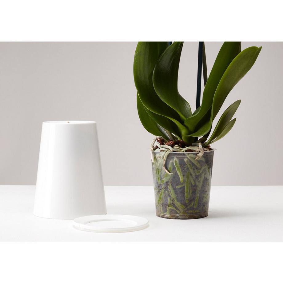 Boskke Vaso per piante sospese Sky Planter con serbatoio d'acqua  