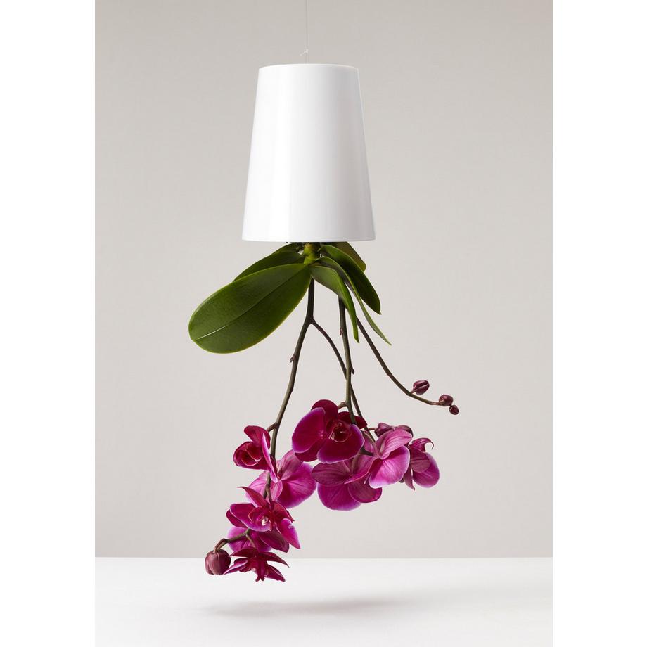 Boskke Vaso per piante sospese Sky Planter con serbatoio d'acqua  