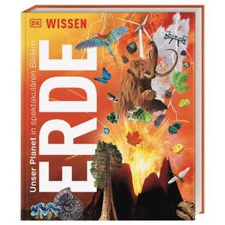 DK Wissen. Erde DK Verlag - Kids (Hrsg.); Reit, Birgit (Übersetzung) Gebundene Ausgabe 