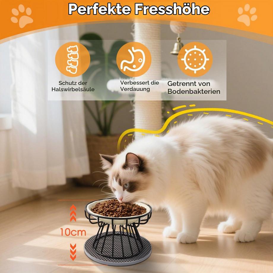Alopini  Bol Pour Chat Surélevé 2 Pièces, bol de Nourriture pour Chat avec Support en Métal 