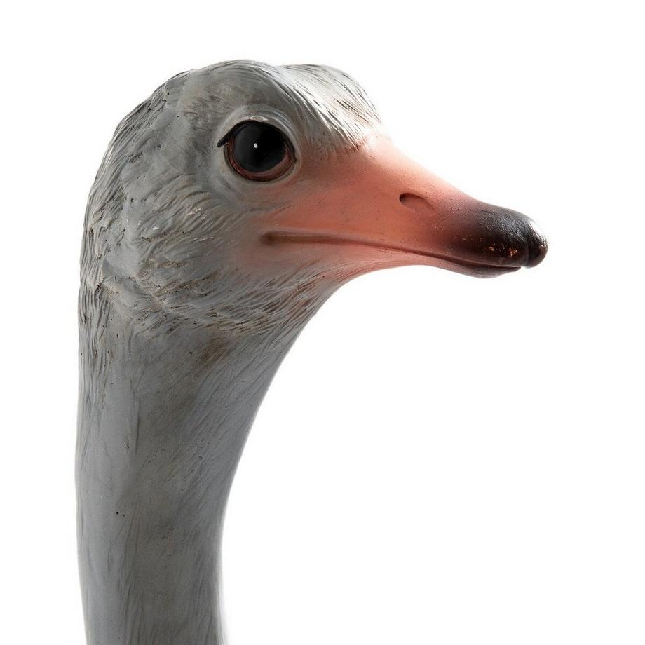 AM.PM  Tête d'autruche en polyrésine H63 cm 