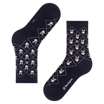 socken für en corgi