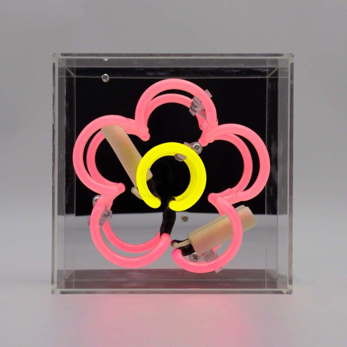 Locomocean Mini Acryl-Box Neon - Margritli rosa  