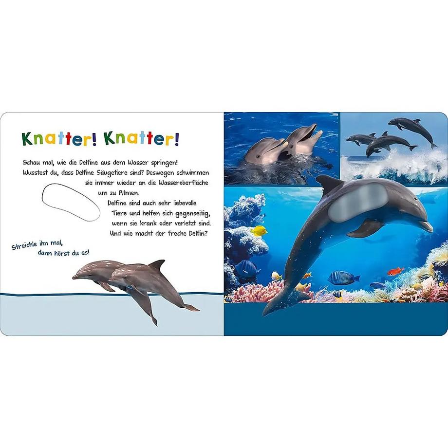 Hör mal rein, wer kann das sein? - Im Ozean Kein Autor Gebundene Ausgabe 