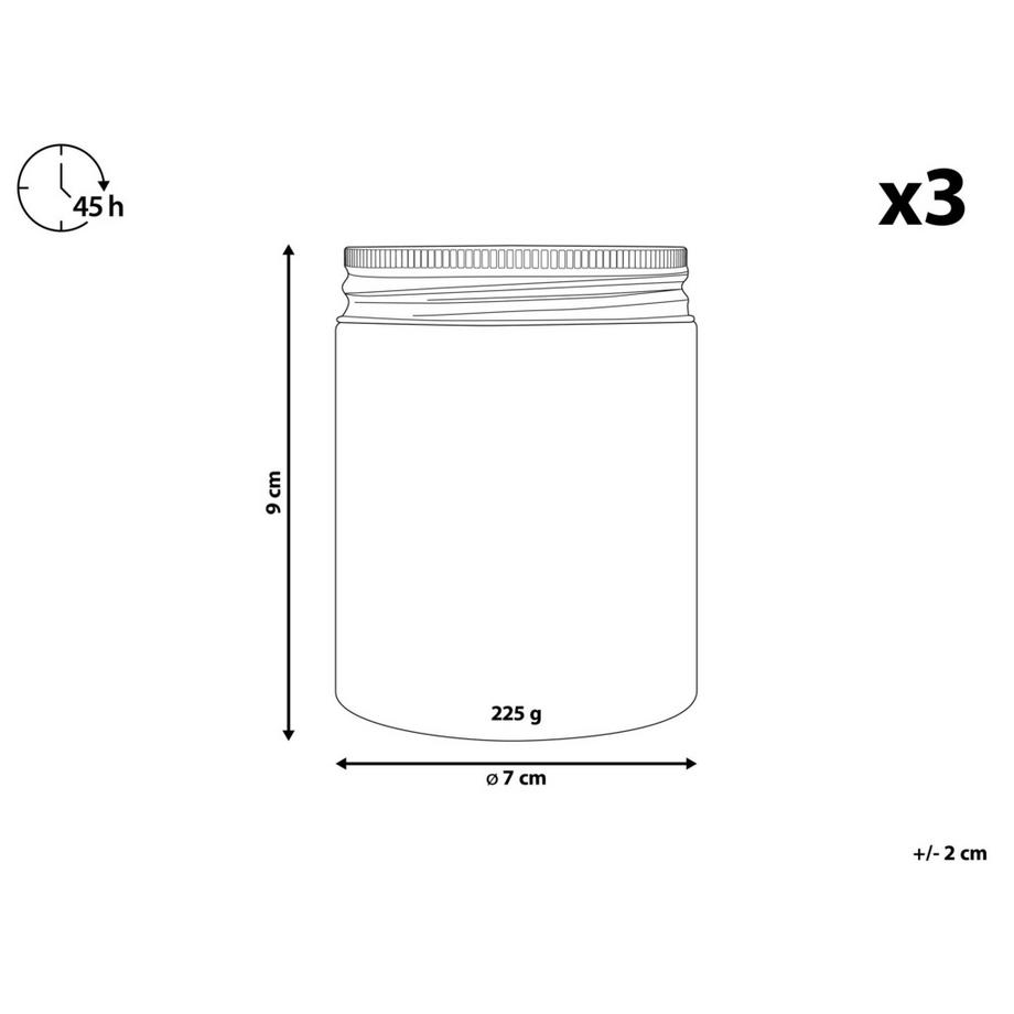 Beliani Duftkerzen 3er Set aus Sojawachs FRUITY BLOOM  