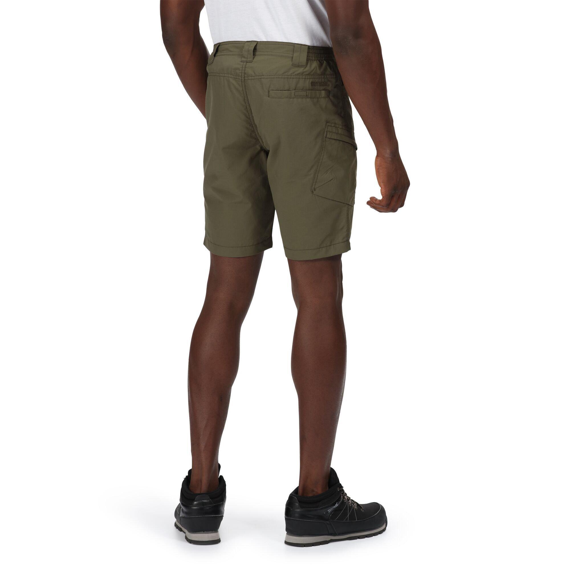 Regatta  Delgado Shorts 