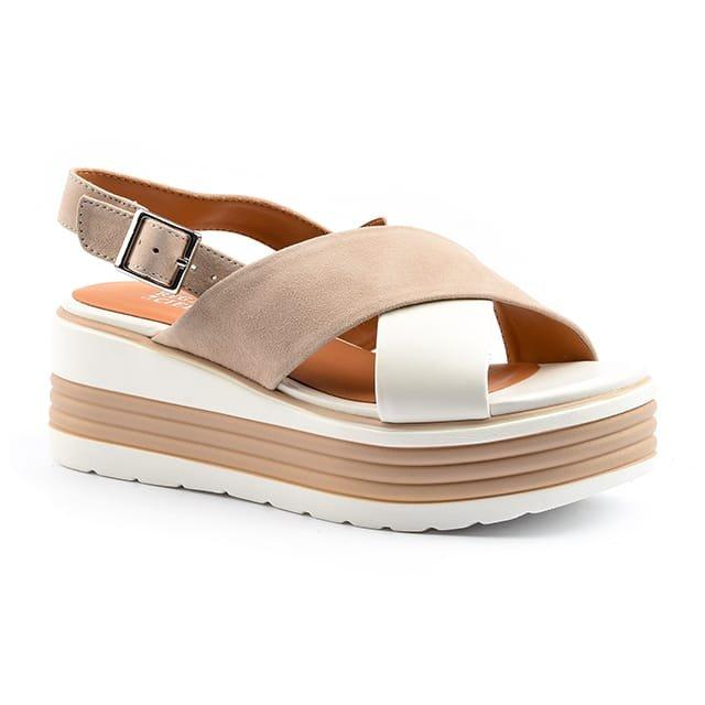 Image of Sheyla 04-41 Unisex Multicolor 41