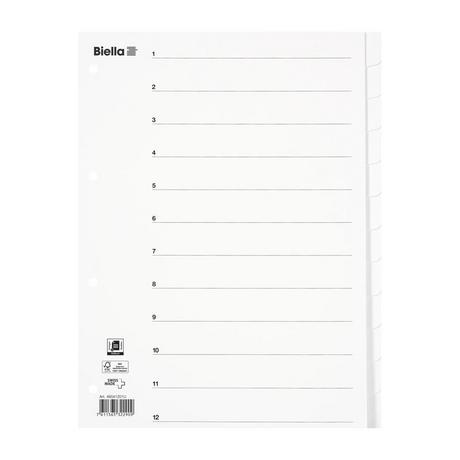 Biella  Kartonregister blanko, Teilung 1-12 - x 25 