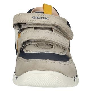 GEOX  Sneaker 