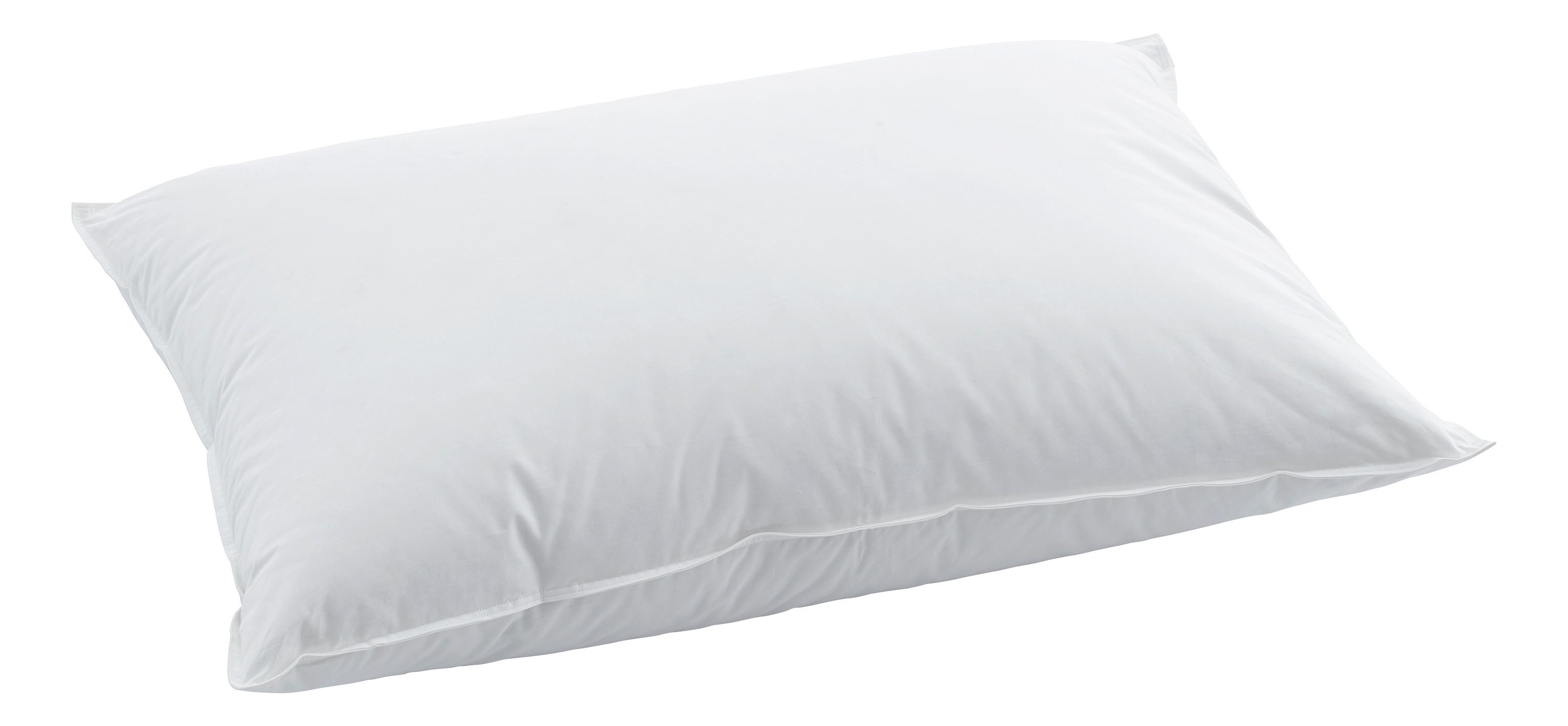 Swiss Dream Oreiller Pillow Basic 30  