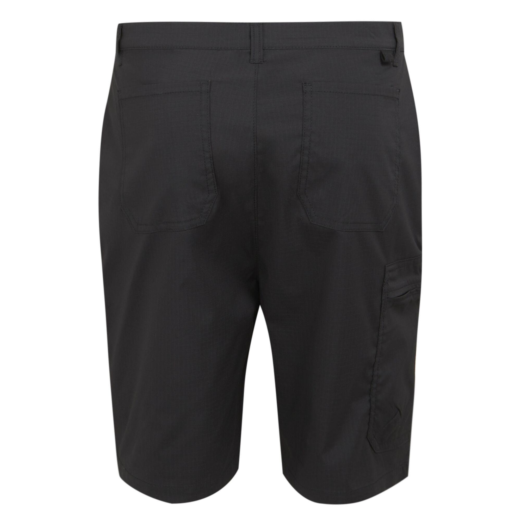 Regatta  Short DALRY 