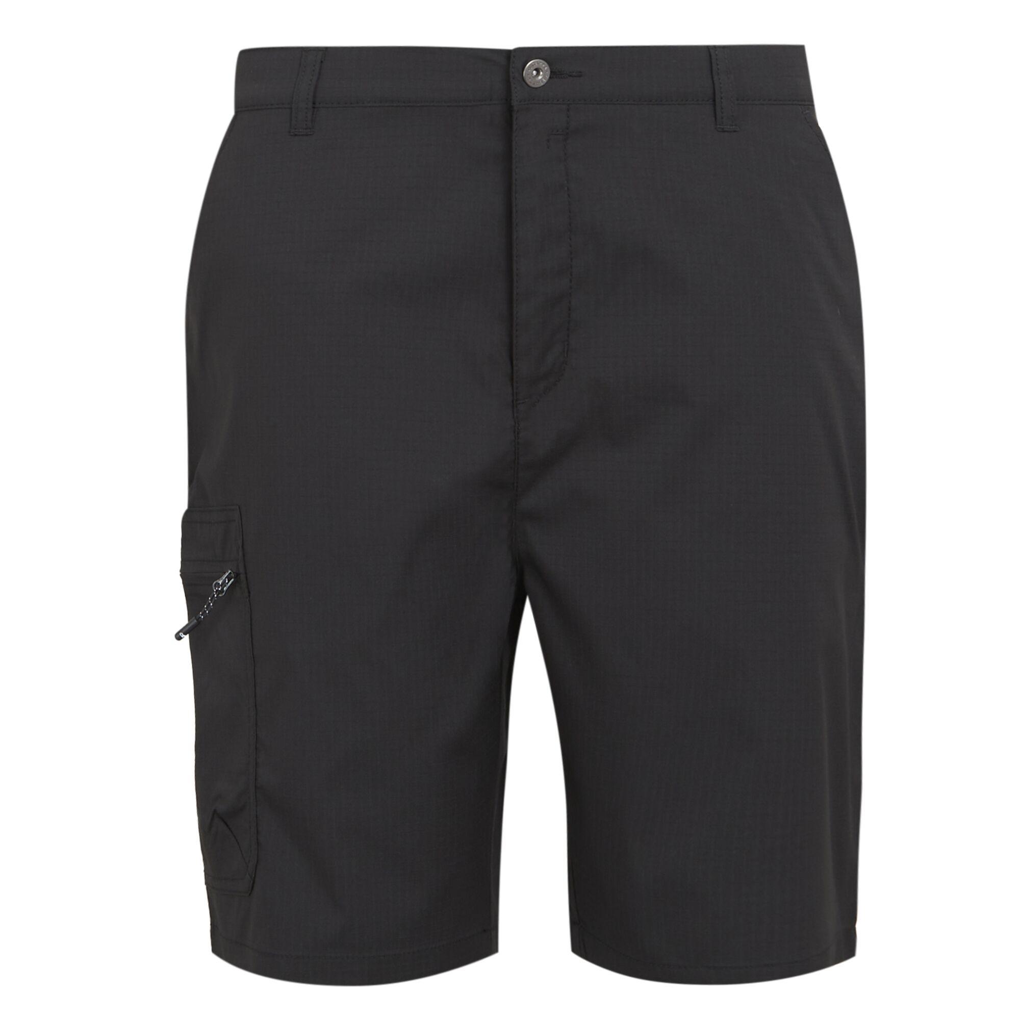 Regatta  Dalry Shorts 