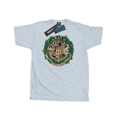 Harry Potter  Tshirt 