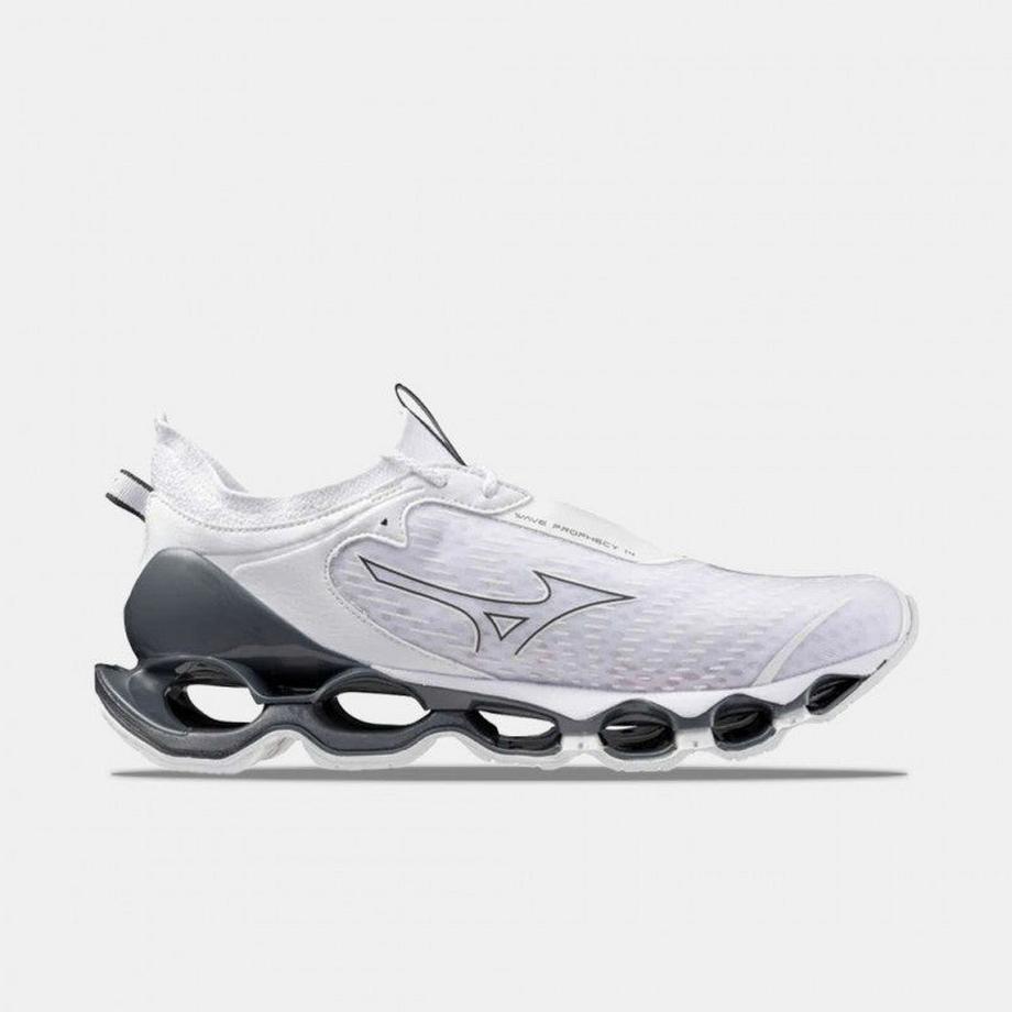 MIZUNO  Mizuno Wave Prophecy 14 
