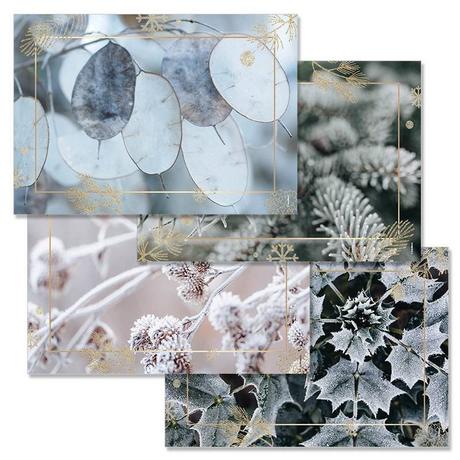 trendform Sets de table en papier COOL WINTER 4 x 12 feuilles  