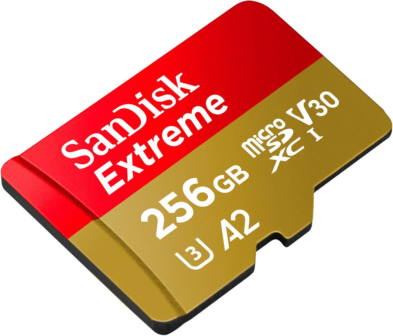 SanDisk  Scheda di memoria Extreme microSDXC da 256 GB, SDSQXAV-256G-GN6MA 
