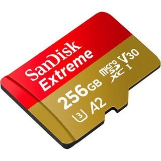 SanDisk  Scheda di memoria Extreme microSDXC da 256 GB, SDSQXAV-256G-GN6MA 
