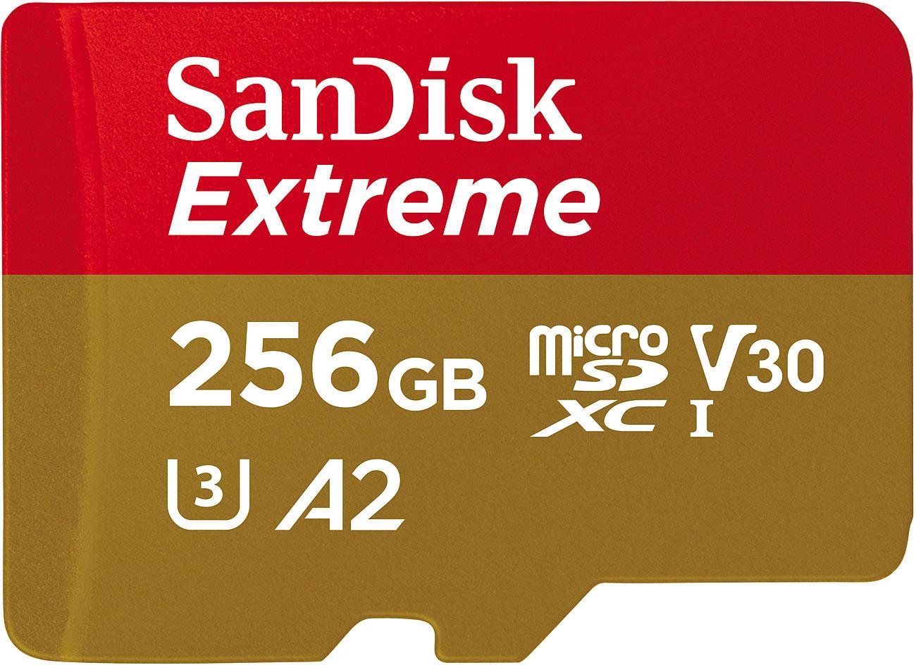 SanDisk  Scheda di memoria Extreme microSDXC da 256 GB, SDSQXAV-256G-GN6MA 