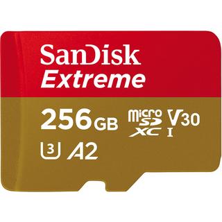 SanDisk  Scheda di memoria Extreme microSDXC da 256 GB, SDSQXAV-256G-GN6MA 