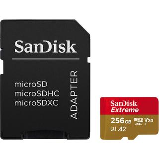 SanDisk  Scheda di memoria Extreme microSDXC da 256 GB, SDSQXAV-256G-GN6MA 