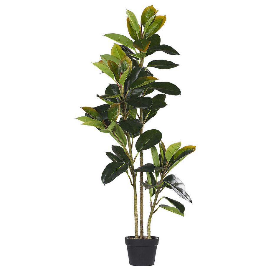 Pianta artificiale en Materiale sintetico Boho FICUS ELASTICA