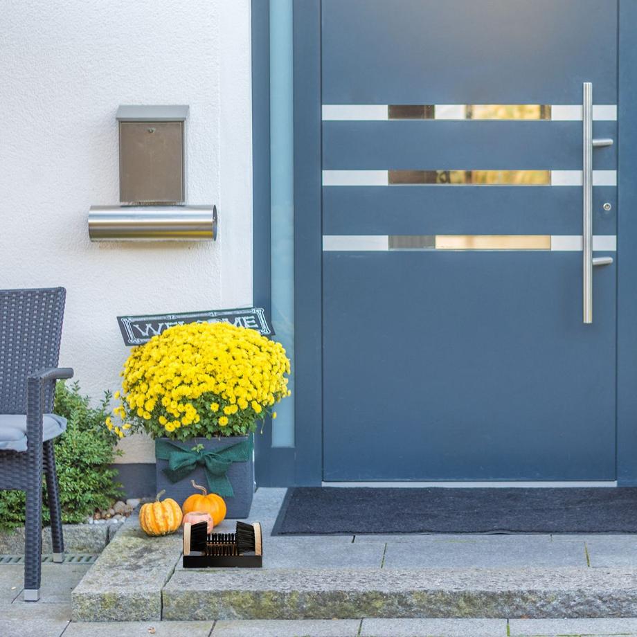 B2X  Grattoir à chaussures avec brosses polyvalentes 