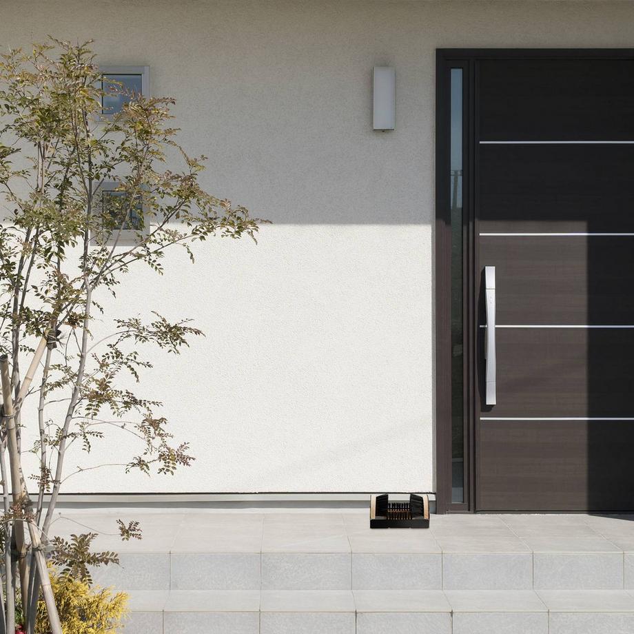 B2X  Grattoir à chaussures avec brosses polyvalentes 