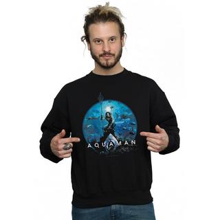 DC COMICS  Sweatshirt 