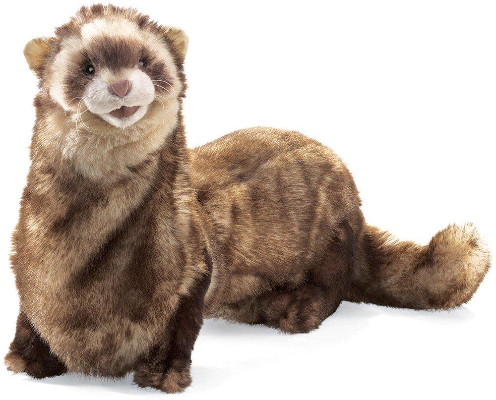 Image of Frettchen Ferret Multicolor