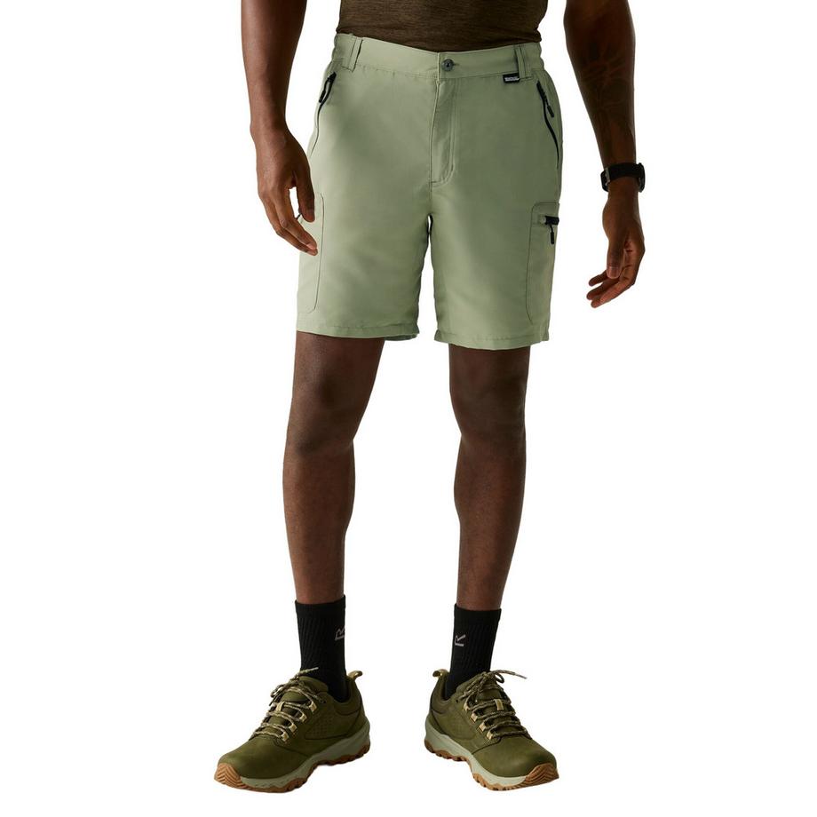 Regatta  Leesville Iii Shorts 