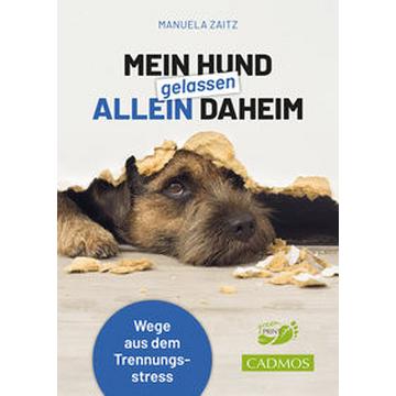 Mein Hund gelassen allein daheim