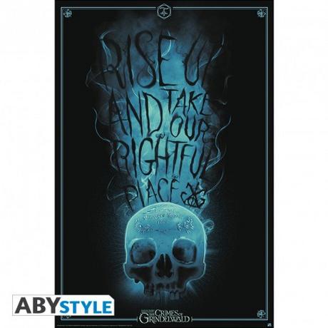 Abystyle Poster - Roulé et filmé - Harry Potter - Rise UP  