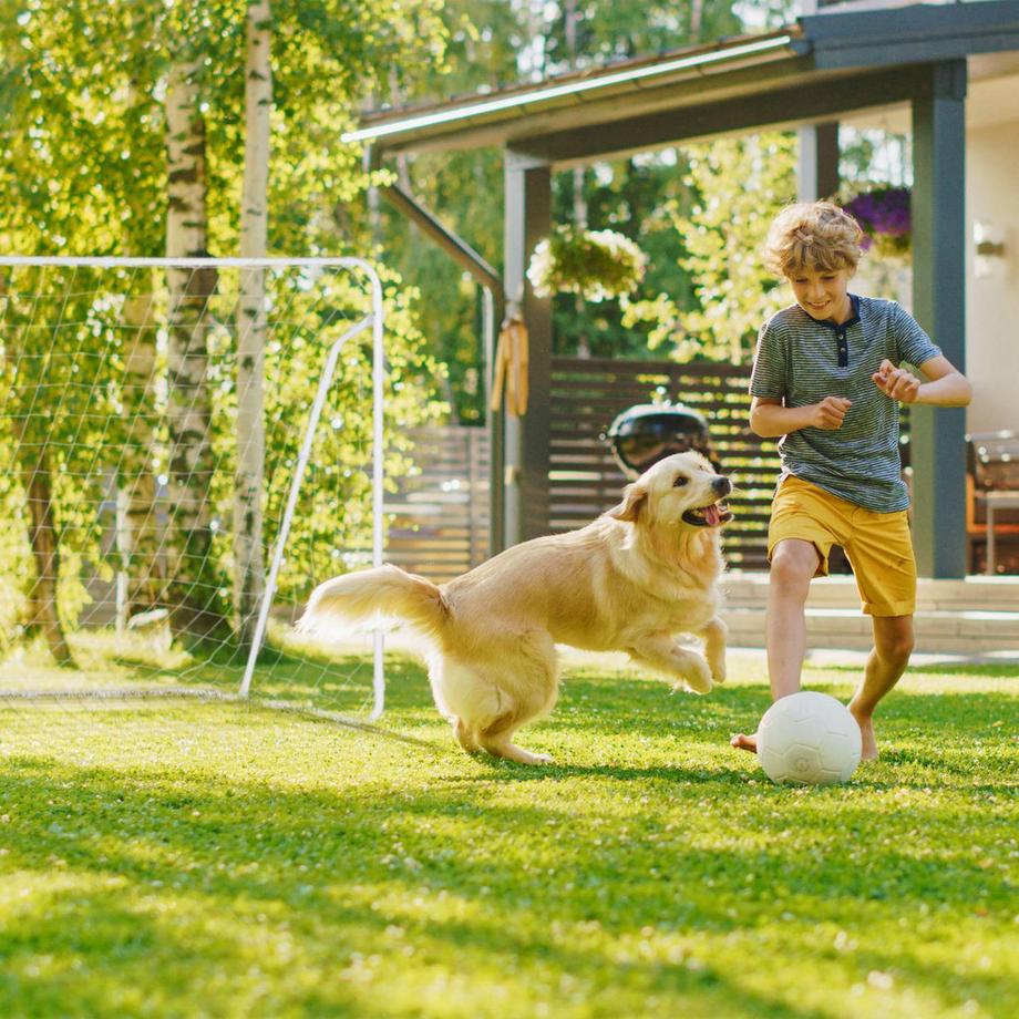 B2X  Fußballtor ausem Stahl 