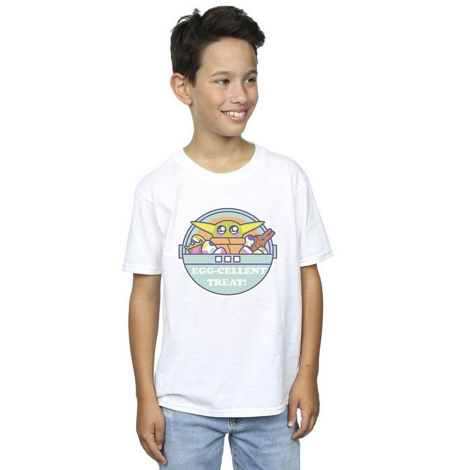 STAR WARS  The Mandalorian Eggcellent Easter TShirt 