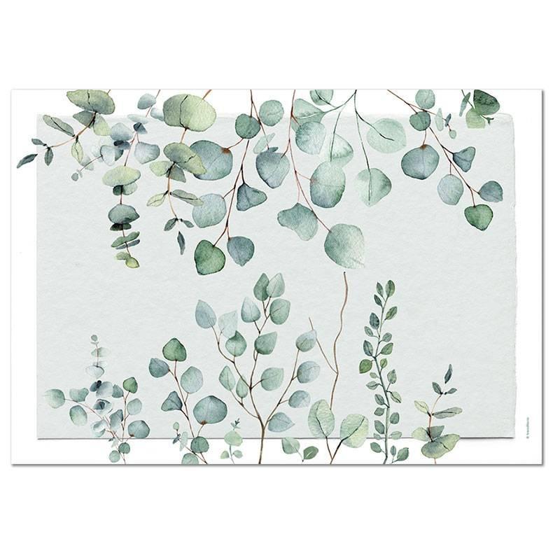 trendform Sets de table en papier EUCALYPTUS 4 x 12 feuilles  