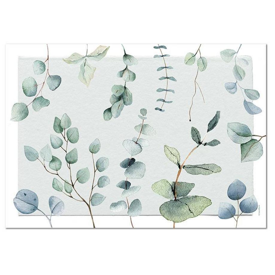 trendform Sets de table en papier EUCALYPTUS 4 x 12 feuilles  