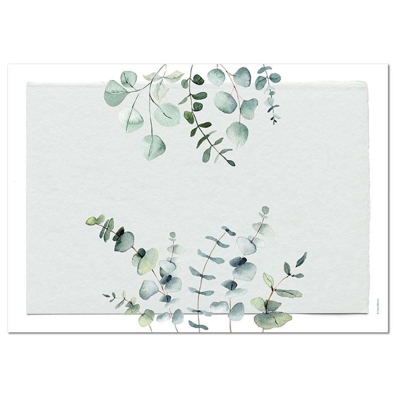 trendform Sets de table en papier EUCALYPTUS 4 x 12 feuilles  
