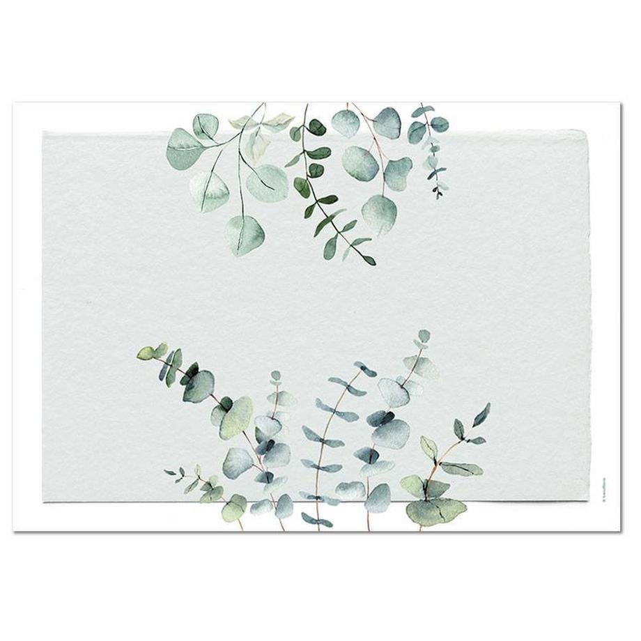 trendform Sets de table en papier EUCALYPTUS 4 x 12 feuilles  