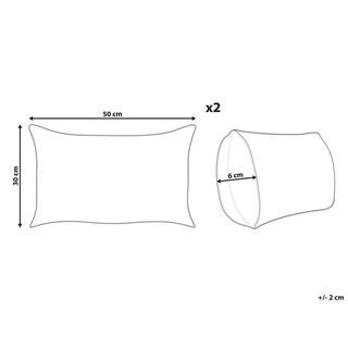 Beliani Set di 2 cuscini en Velluto Moderno ALSOBIA  