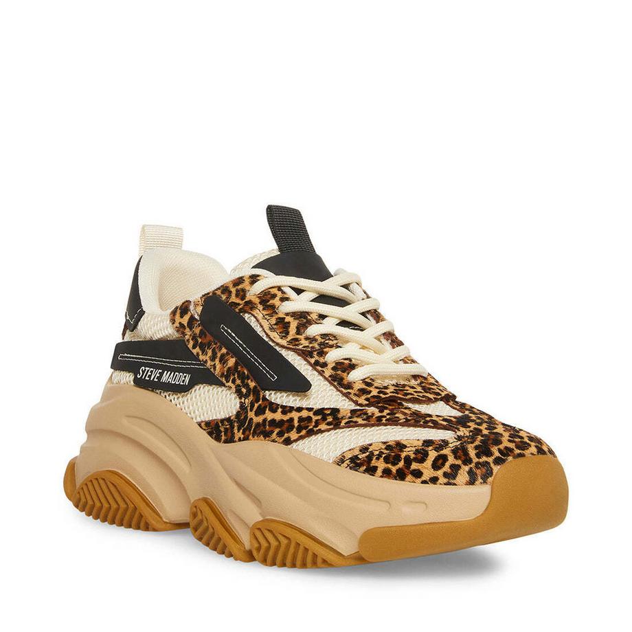 STEVE MADDEN Possession-E Leopard Print Baskets Plateforme  