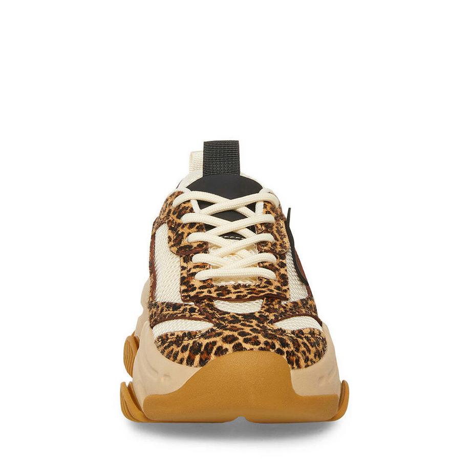 STEVE MADDEN Possession-E Leopard Print Baskets Plateforme  