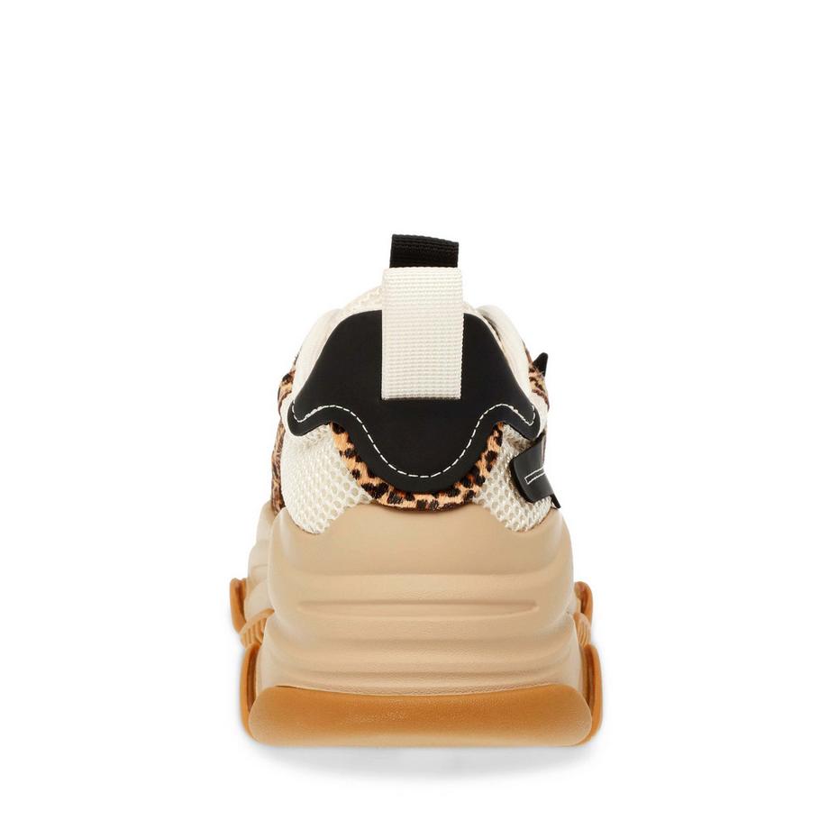 STEVE MADDEN Possession-E Leopard Print Baskets Plateforme  
