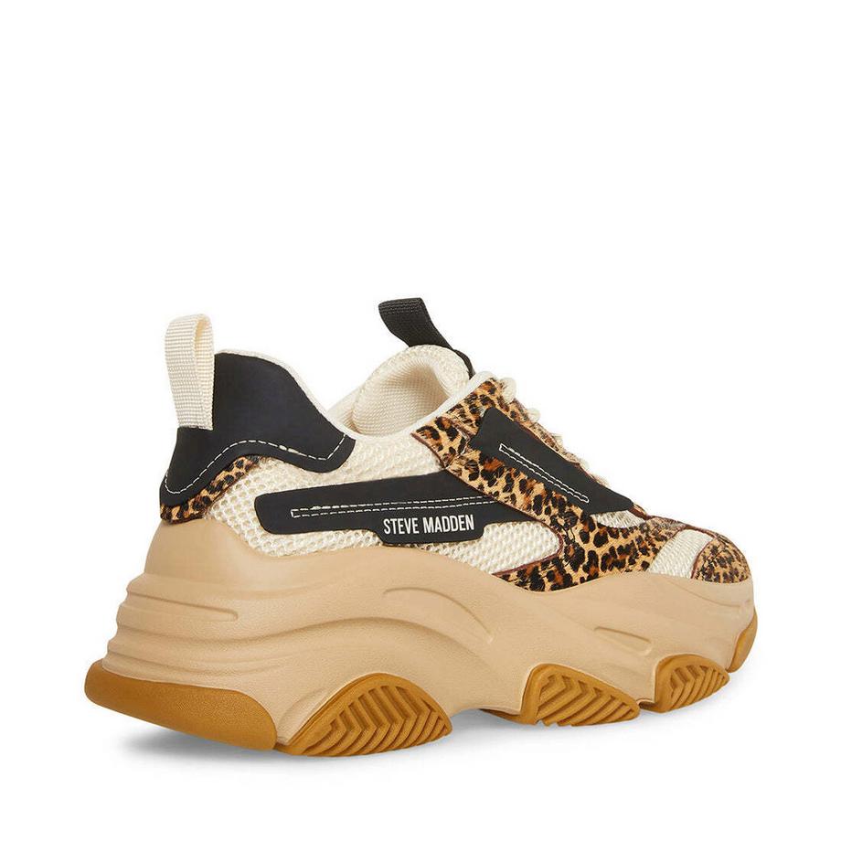 STEVE MADDEN Possession-E Leopard Print Baskets Plateforme  