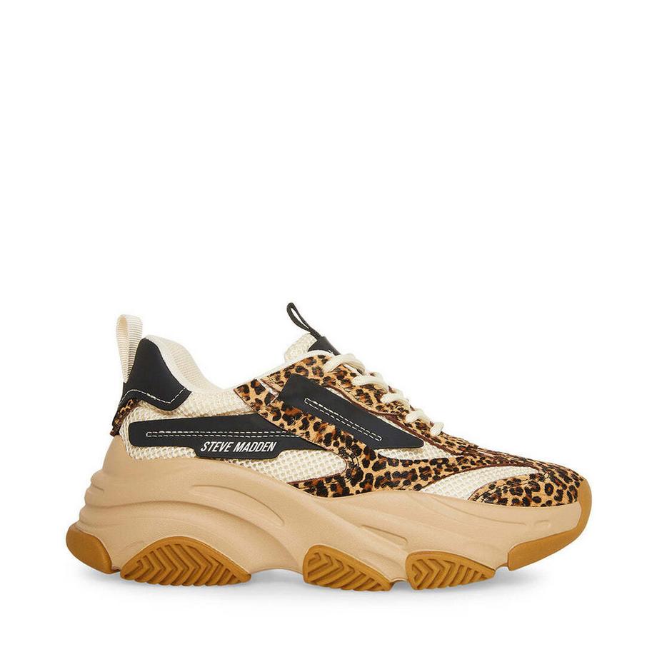 Baskets Possession-E