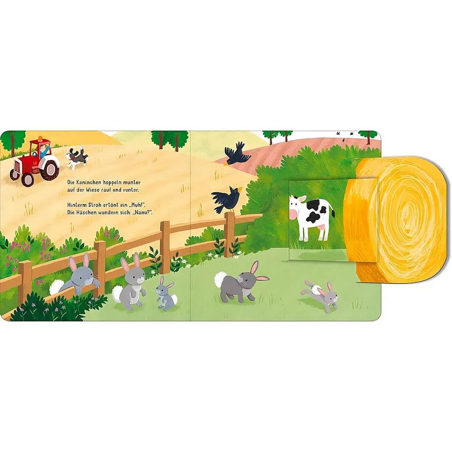 Klapp auf! Wer versteckt sich auf dem Bauernhof? Bruns, Elena; Partis, Joanne (Illustrationen) Gebundene Ausgabe 