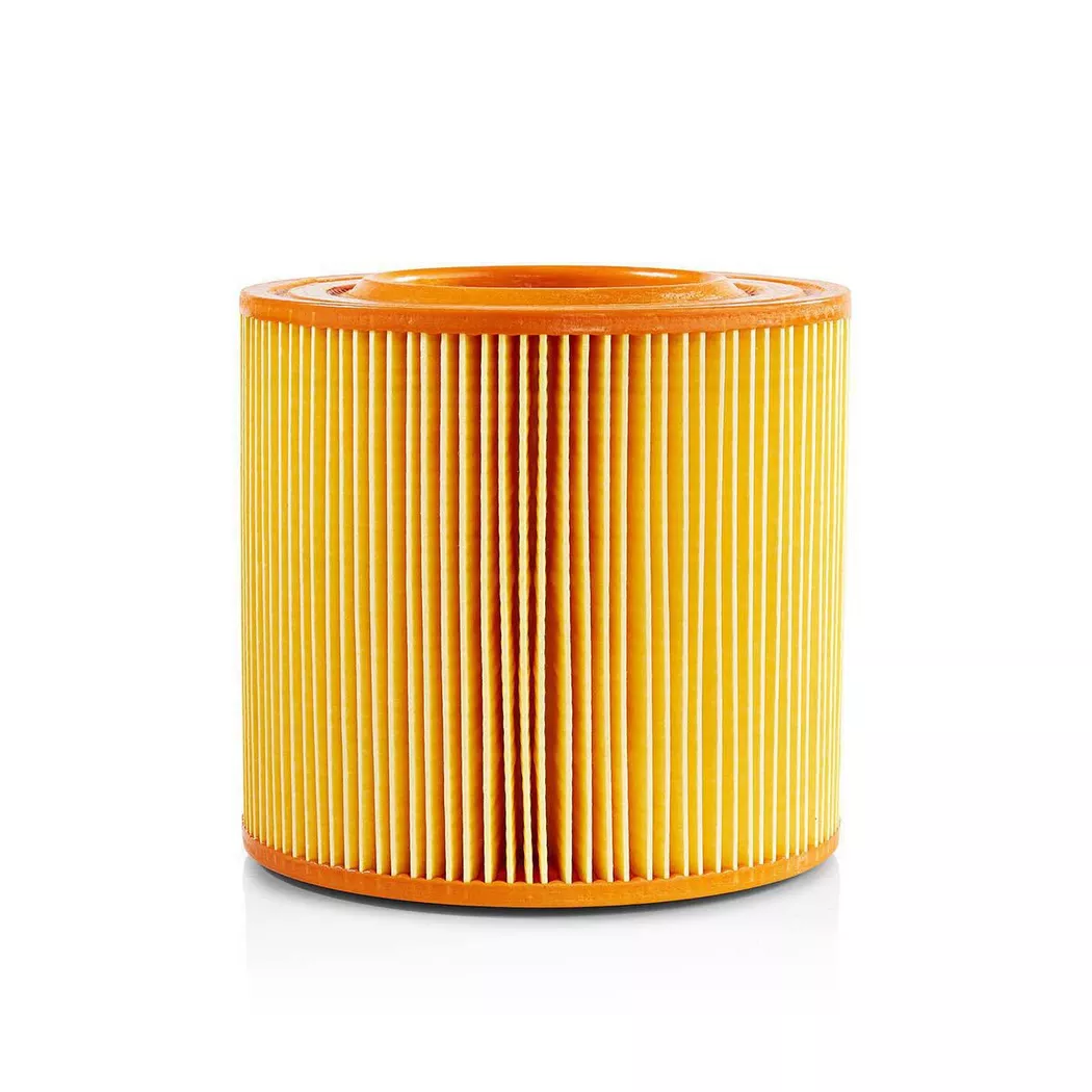 Nedis – Kassettenfilter | Ersatz für: Allaway A/C-Serie Motorfilter, Motorfilter