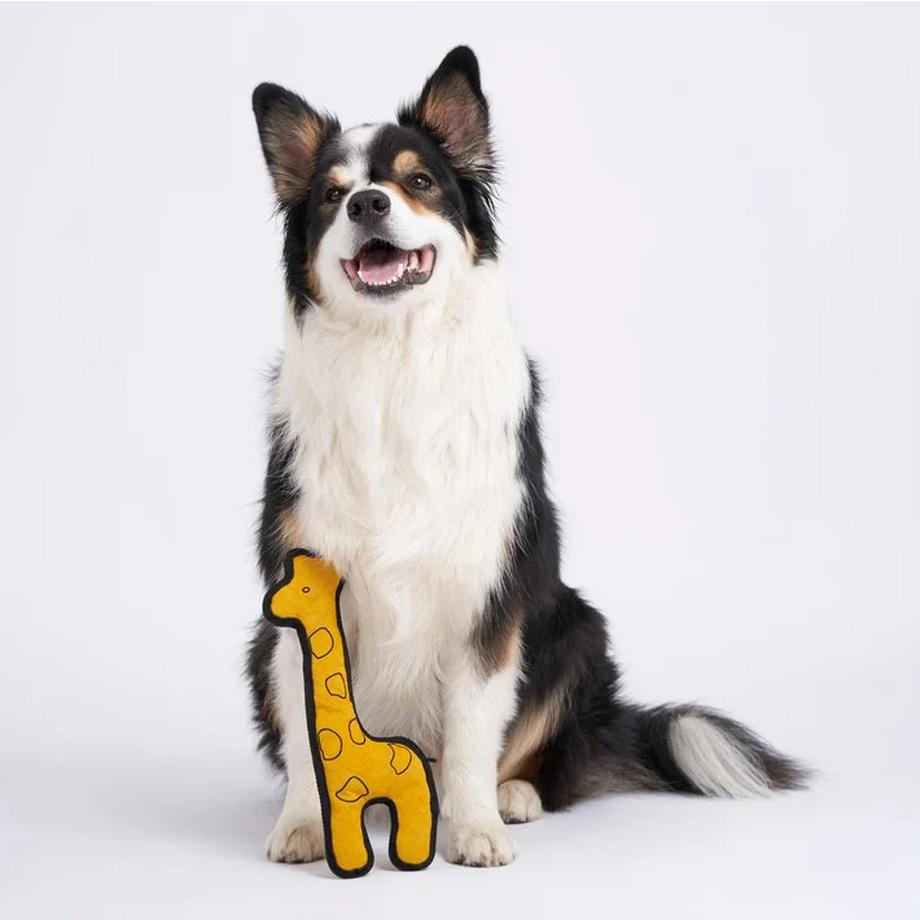 Redoggo  Aktivspielzeug Giraffe 