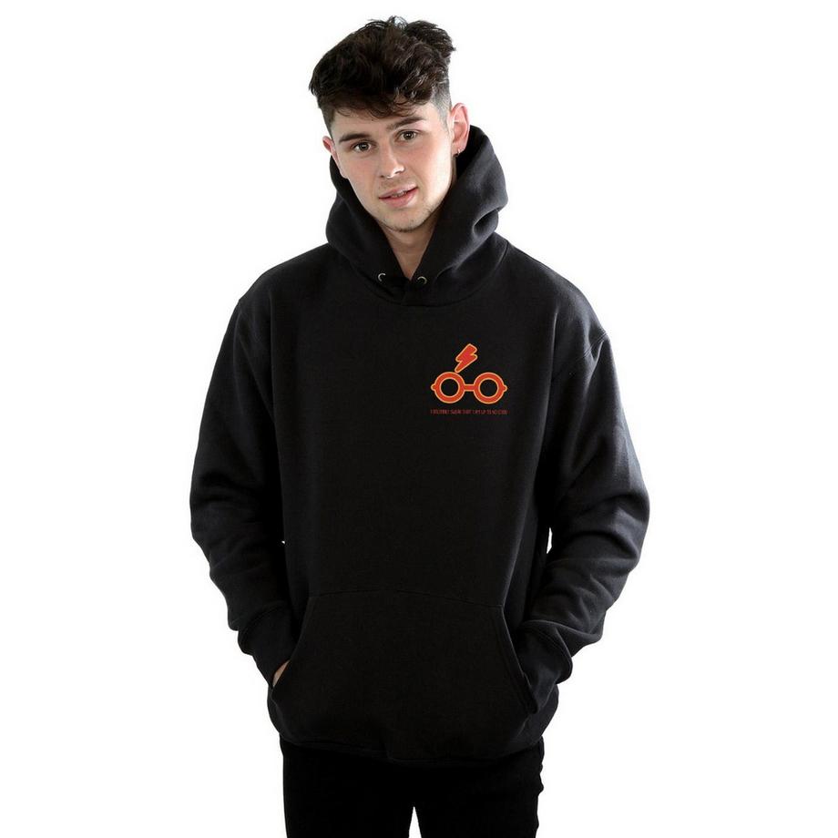 Harry Potter I Solemnly Swear Sweat à Capuche  