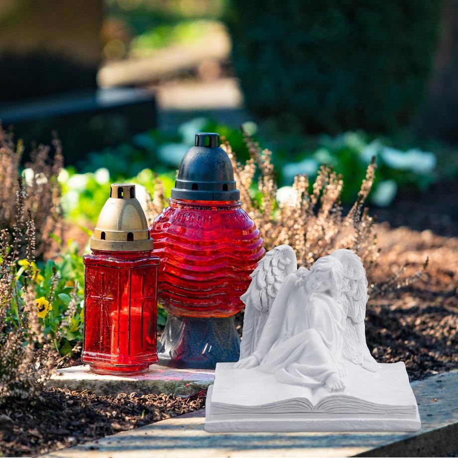 B2X  Grabengel auf Buch 