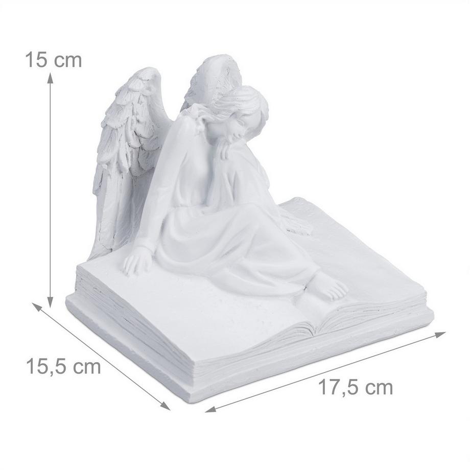 B2X  Grabengel auf Buch 